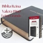 Biblia Reina Valera 1960 Letra Grande