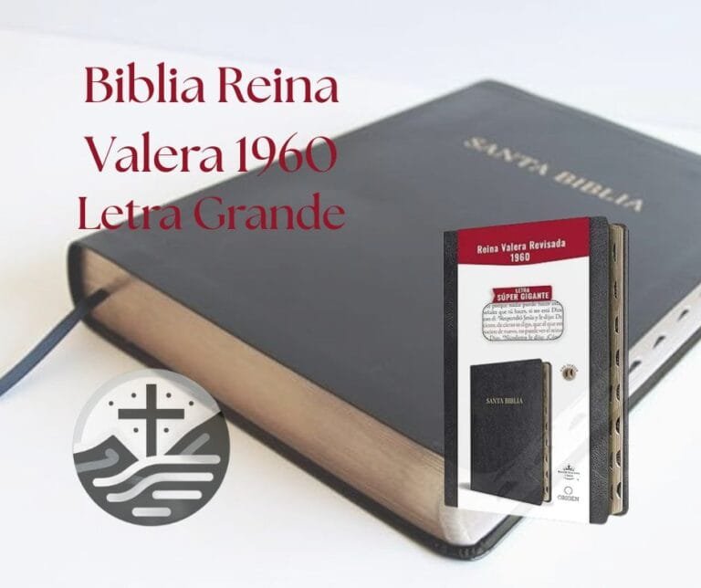 Biblia Reina Valera 1960 Letra Grande