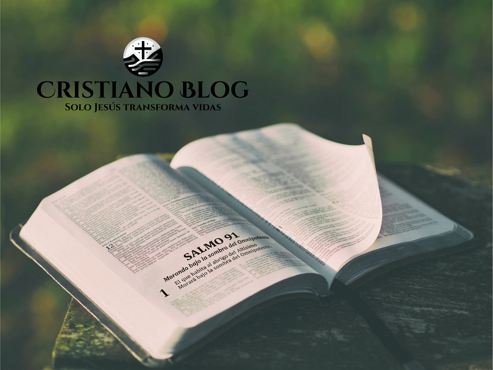 Salmo 91:1 Reflexión